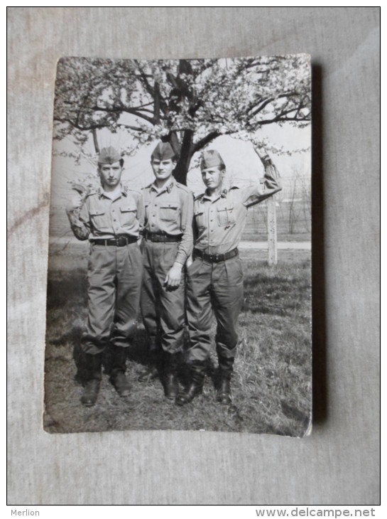 Military Photo  Hungary -soldiers     D124019 - Photographs