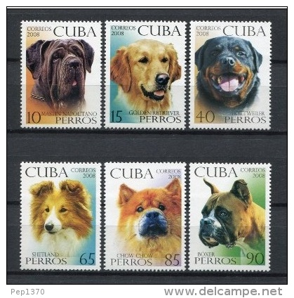 CUBA 2008 - PERROS - CHIENS  - DOGS - 6 SELLOS - Neufs