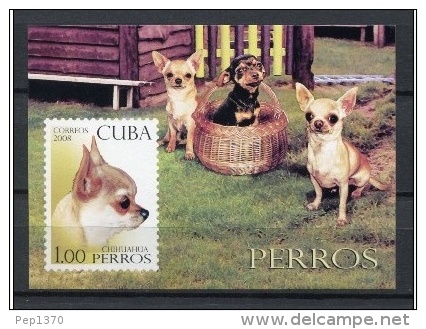 CUBA 2008 - PERROS - CHIENS  - DOGS - BLOCK - Ungebraucht