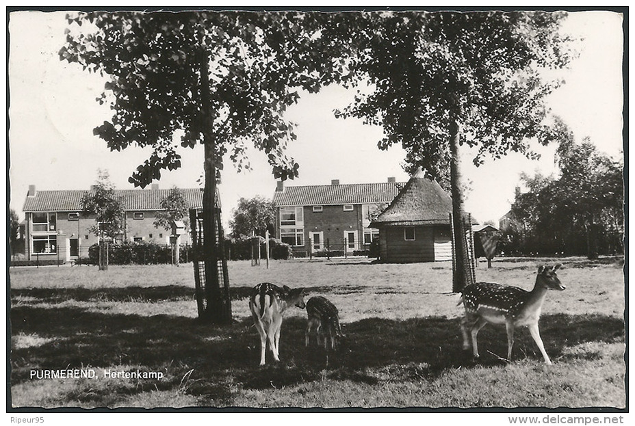 PURMEREND - Hertenkamp - Purmerend