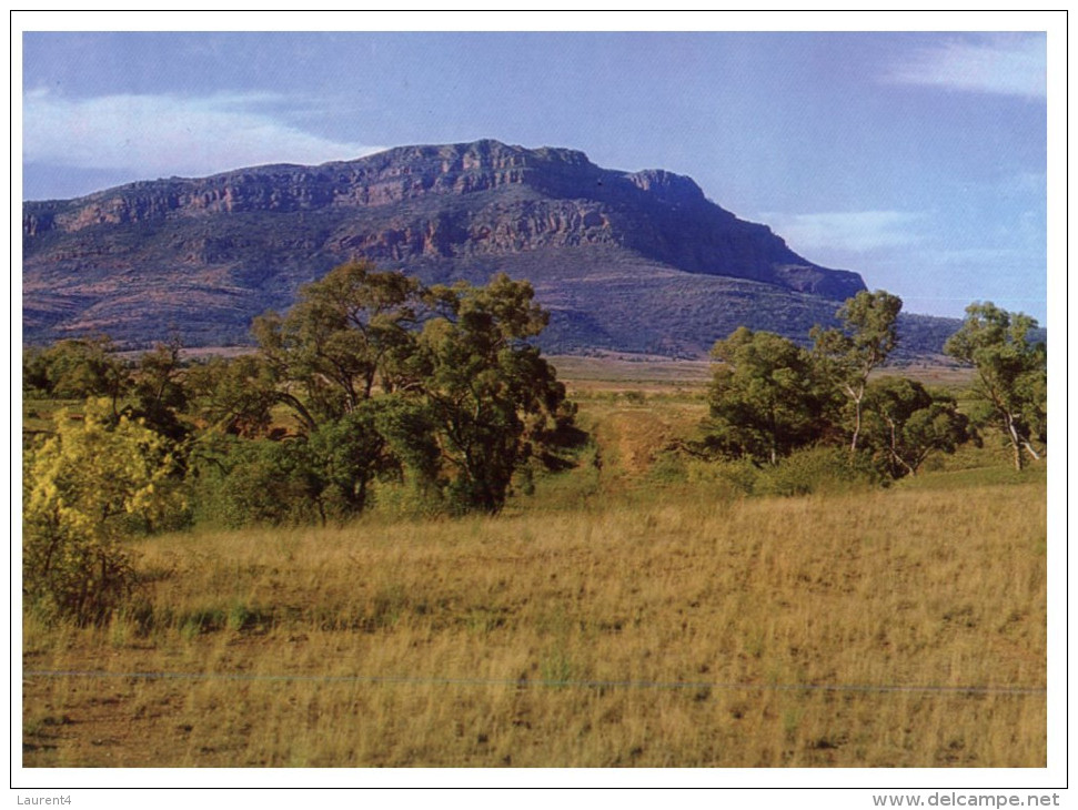 (891) Australia - SA - Flinders Range - Flinders Ranges