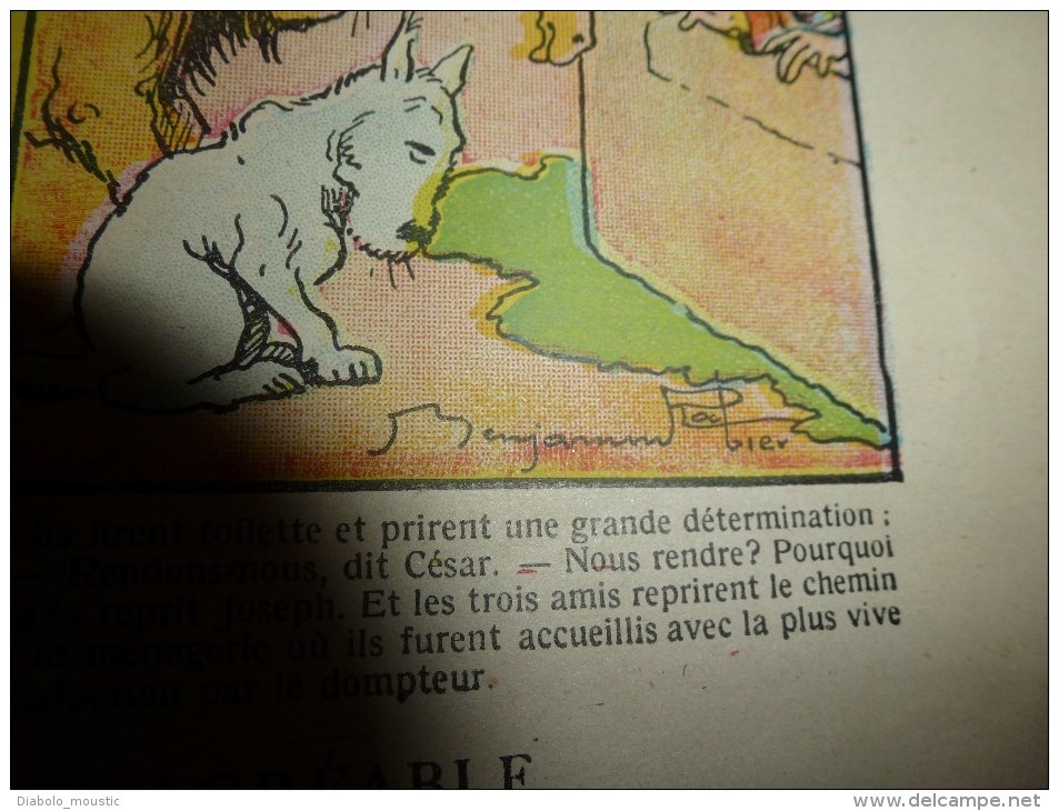 Vers 1900 Image d'EPINAL Réclame PETROLE HANN ,37,5 x 29 cm (Les animaux en liberté) texte et dessins de Benjamin Rabier