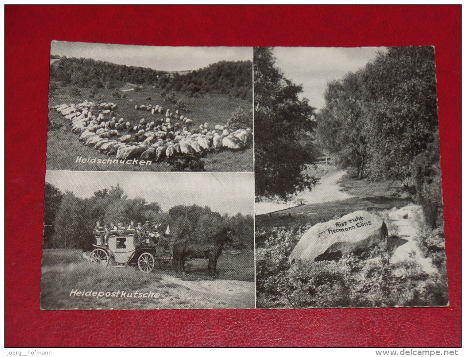 Lüneburger Heide Fallingbostel Löns Grab Tittlinger Wacholderpark Ungebraucht Unused Germany Postkarte Postcard - Fallingbostel