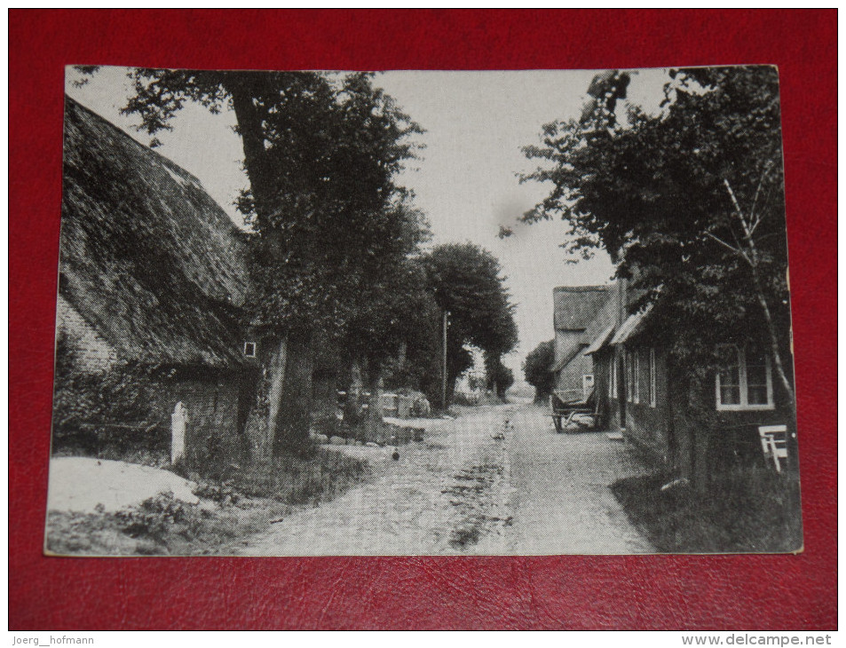 Alte Dorfstrasse Auf Der Insel Föhr Schleswig Holstein Ungebraucht Unused Germany Postkarte Postcard - Föhr