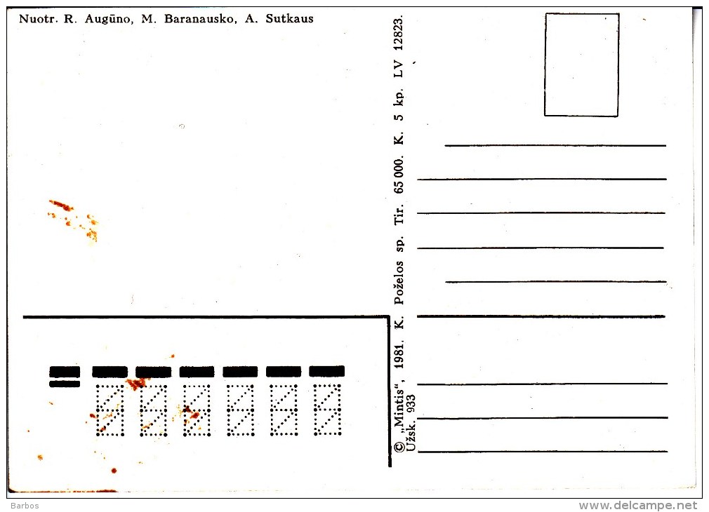 URSS  Lietuva   Lithuania  Lietuvos TSR , 1981 , Neringa ,  Postcard - Lithuania