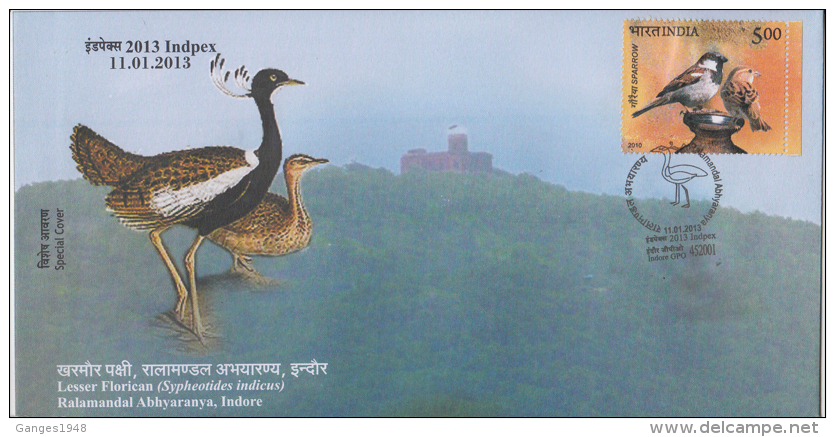 India  2013  Lesser Florican  Birds  Indore  Special Cover # 84204   Indien Inde - Cranes And Other Gruiformes