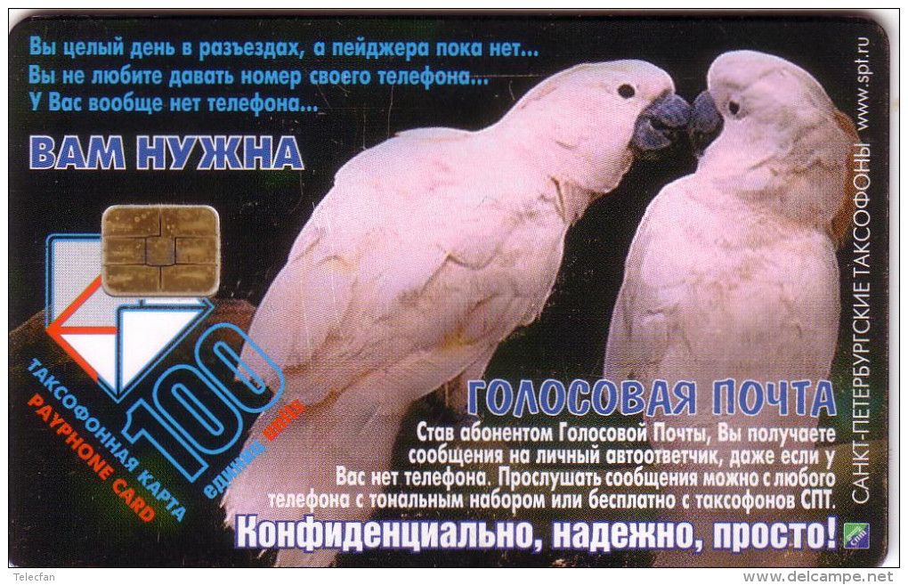 RUSSIE PERROQUETS PARROTS 100U UT - Parrots