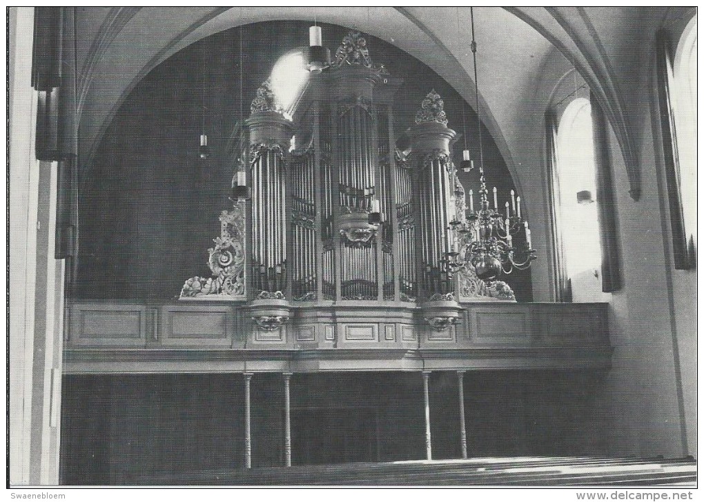 NL.- Nunspeet. Nederland Hervormde Kerk Dorpskerk Orgel. 2 Scans - Nunspeet