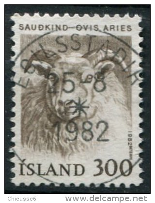 (cl 20 - P48) Islande Ob (ref. Michel Au Dos) N° 533 - Série Courante. Ovins - - Nuevos