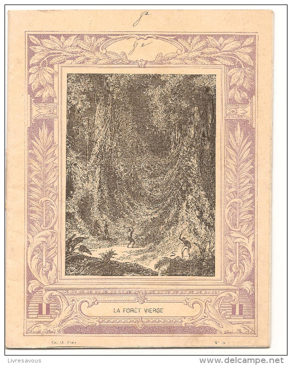 Cahier La Forêt Vierge N°46 De 1901 Cahier écrit Editions CH. D. Paris En Bon état - Protège-cahiers