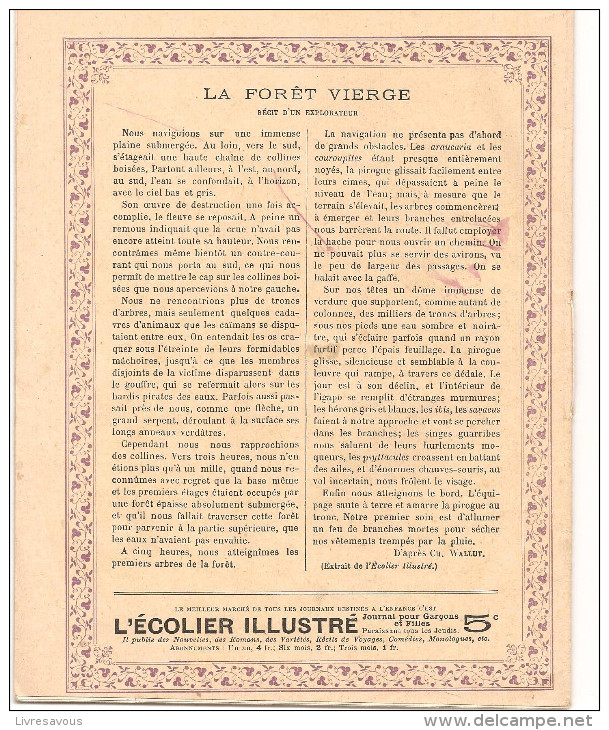 Cahier La Forêt Vierge N°46 De 1901 Cahier écrit Editions CH. D. Paris En Bon état - Protège-cahiers