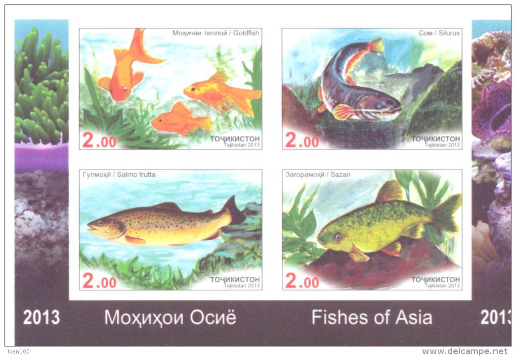 2013. Tajikistan, Fishes Of Asia, Set Of 4v Imperforated In Block, Mint/** - Tadschikistan