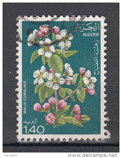 Algerije 1978 Mi Nr 721  Bloemen, Flowers - Algerije (1962-...)