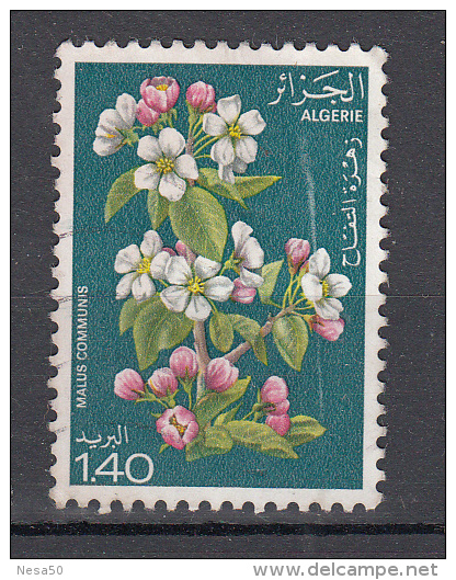 Algerije 1978 Mi Nr 721  Bloemen, Flowers - Algeria (1962-...)