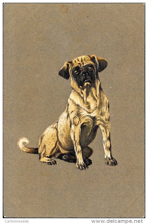 [DC5269] CARTOLINA - CANE - BOLLDOG - IN RILIEVO - Non Viaggiata - Old Postcard - Cani