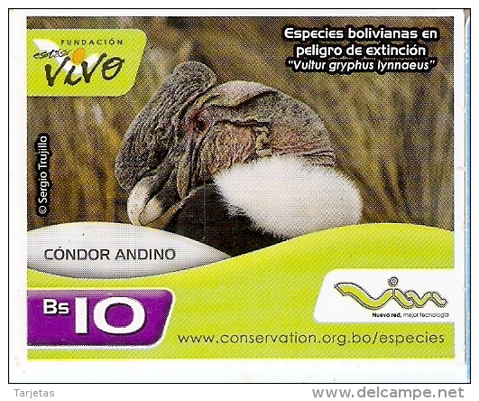 TARJETA DE BOLIVIA DE UN CONDOR ANDINO (PAJARO-BIRD) CON MARCO BLANCO - Bolivia