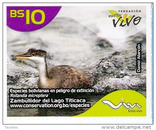 TARJETA DE BOLIVIA DE UN ZAMBULLIDOR DEL LAGO TITICACA (PAJARO-BIRD) CON MARCO BLANCO - Bolivia