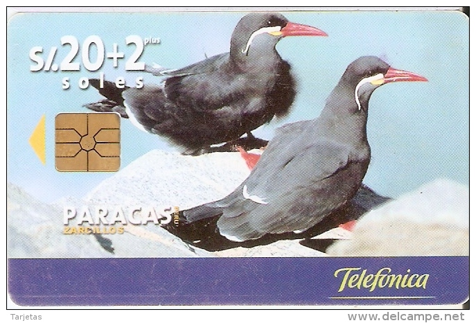 TARJETA DE PERU DE TELEFONICA 20 SOLES PARACAS TIRADA 50000 (PAJARO-BIRD) - Pérou