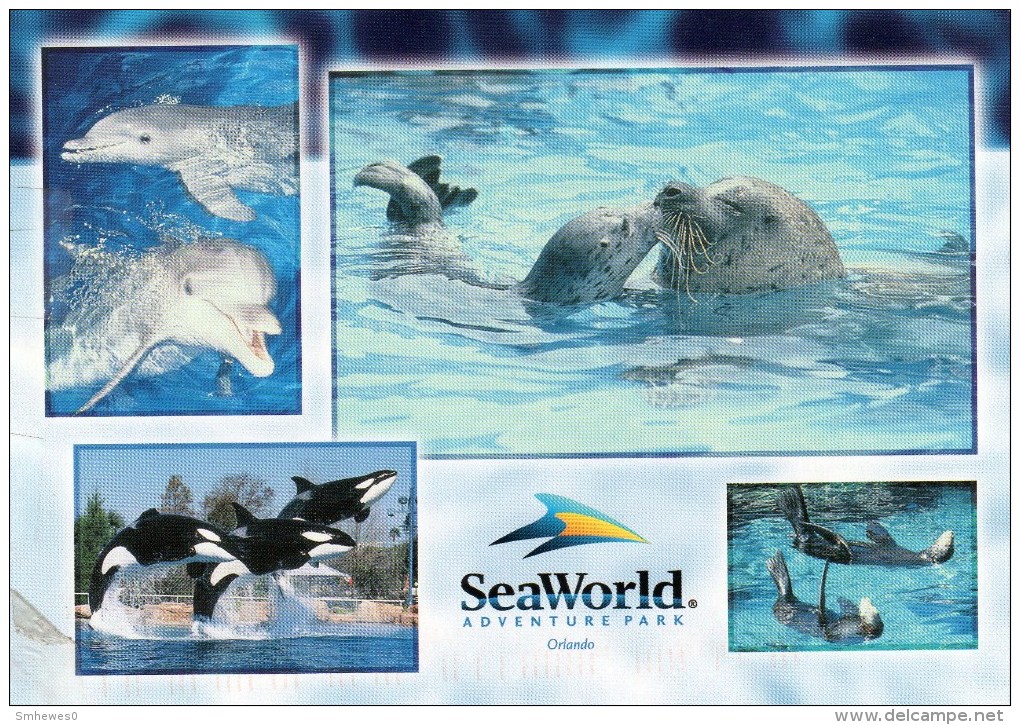 Postcard - SeaWorld. A - Dolphins