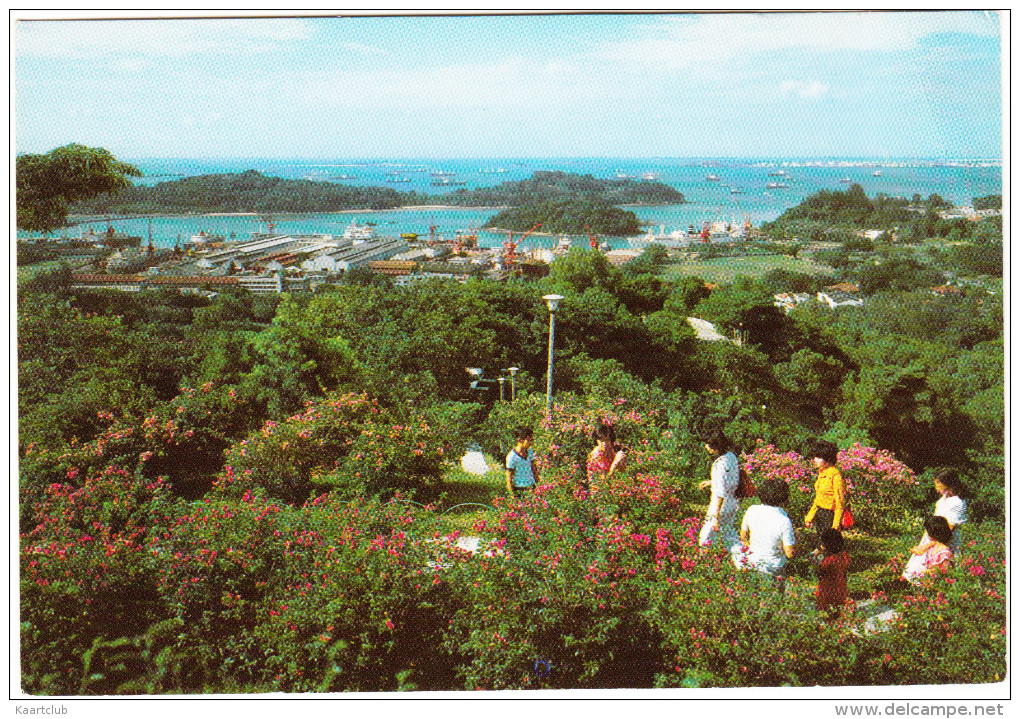 Singapore - Mount Faber, Looking Down To Sea-front - Singapore