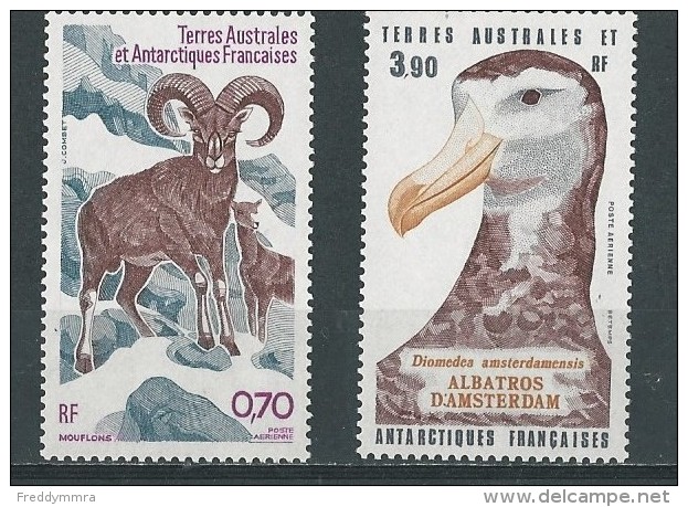 TAAF: PA 86/ 87 **  Mouflons Et Albatros - Marine Web-footed Birds