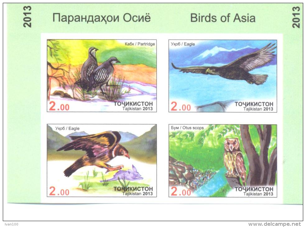 2013. Tajikistan, Birds Of Asia, 4v Imperforated In Block, Mint/** - Tadzjikistan