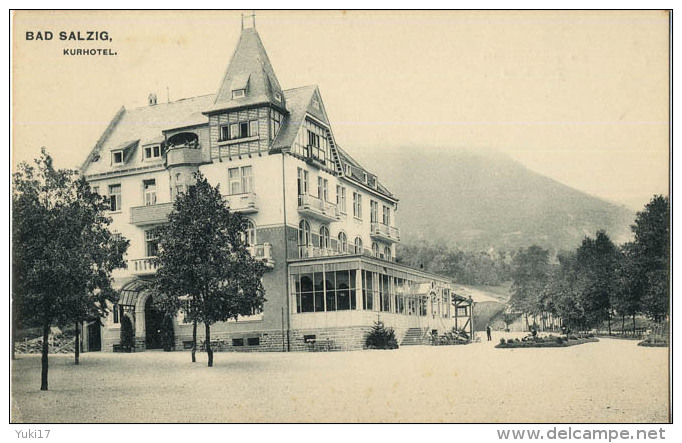 ALLEMAGNE BAD SALZIG KURHOTEL 12729 - Autres & Non Classés