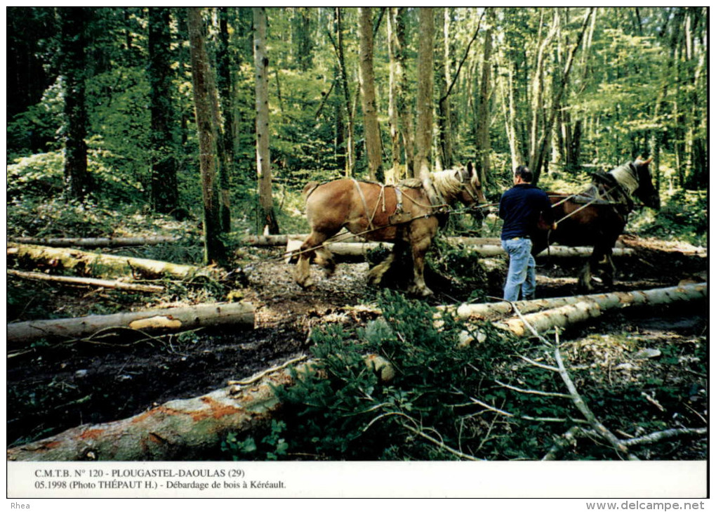 29 - PLOUGASTEL-DAOULAS - Travail Cheval - CMTB - Plougastel-Daoulas