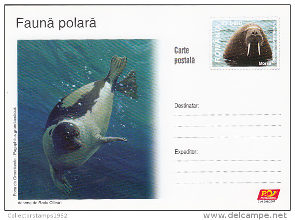 12058- ARCTIC WILDLIFE, SEAL, POSTCARD STATIONERY, 2007, ROMANIA - Fauna ártica