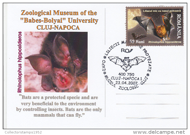 12112- LESSER HORSESHOE BAT, SPECIAL POSTCARD, 2007, ROMANIA - Chauve-souris