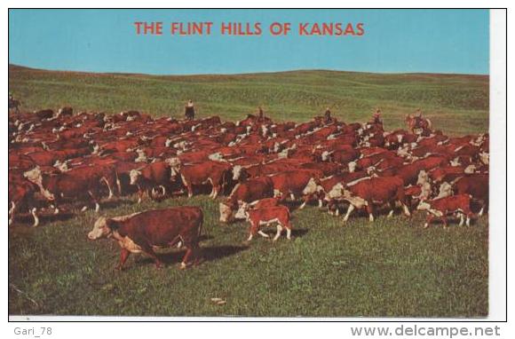 CP The Flint Hills Of KANSAS - Kansas City – Kansas