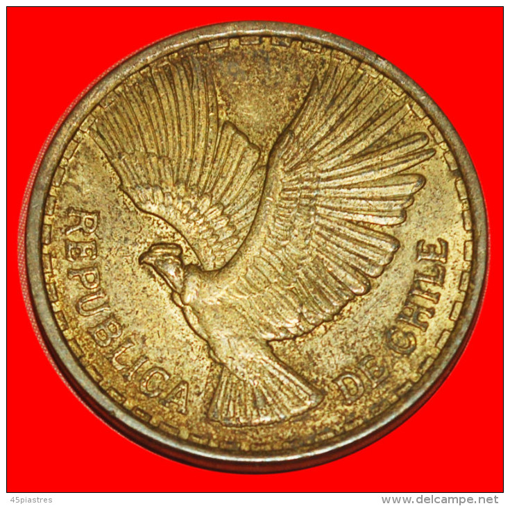 * CONDOR ★ CHILE ★ 10 CENTESIMOS 1969! UNCOMMON YEAR! LOW START ★ NO RESERVE! - Chile