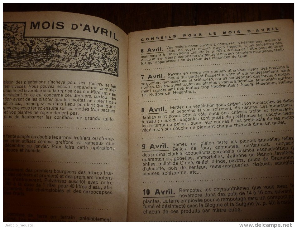 Un CONSEIL Par JOUR Pour Votre JARDIN  (calendrier Perpétuel De Culture Du Jardin) Par Georges Truffaut - Garden