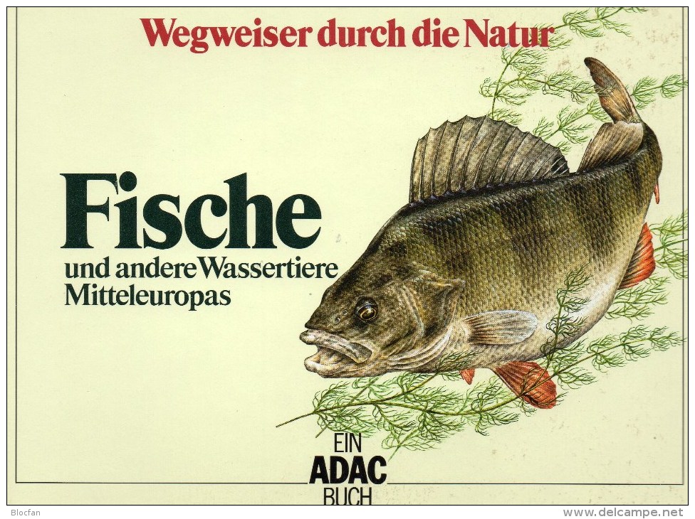 Fische Und Wassertiere+Korea 1668/2 KB,1937/9,ER+Kleinbogen O 30€ Bloque Hoja Hb Bloc Fauna M/s Fishes Sheetlet Bf Corea - Animaux