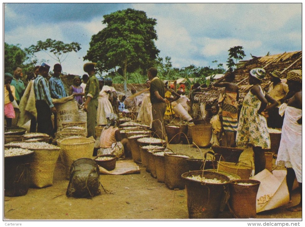 AFRIQUE,GABON,prés Congo Brazzaville,guinée,camero Un,marché D´arachides Dans La N´GOUNIE,sac,,photo Trolez,rare - Gabon