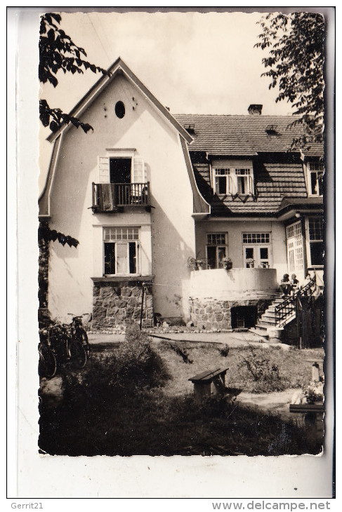 0-2864 PLAU, Jugendherberge, 1959 - Plau