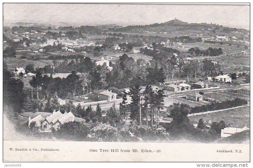 New Zealand 1909 Postcard Sent To Sydney - Postal Stationery