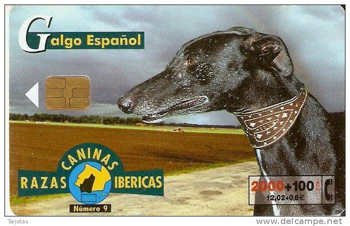 B-085 TARJETA DE ESPAÑA DEL PERRO GALGO ESPAÑOL   (PERRO-CAN-DOG) - Emisiones Básicas