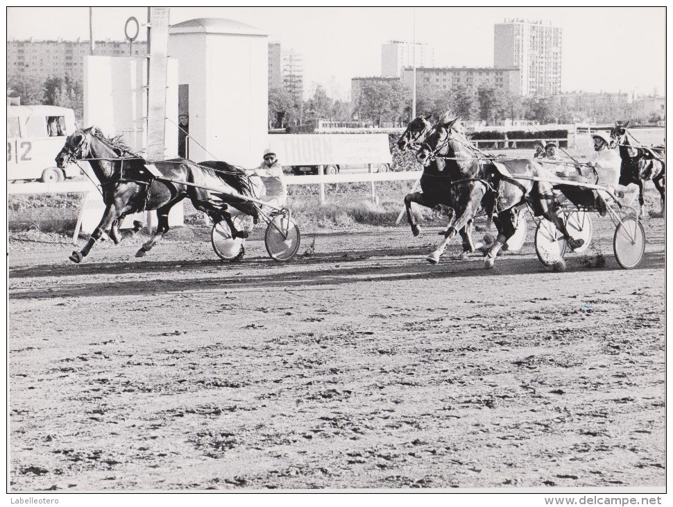 équitation TOULOUSE la Cépière gros lot de + de 160 photos / années 1979 à 1981