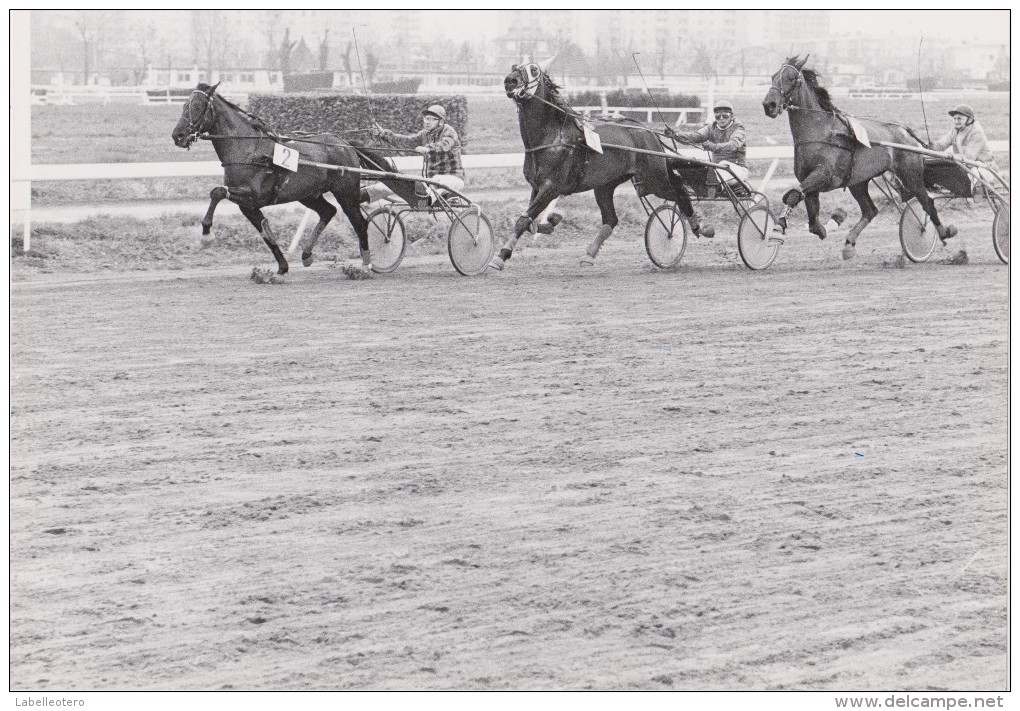 équitation TOULOUSE la Cépière gros lot de + de 160 photos / années 1979 à 1981