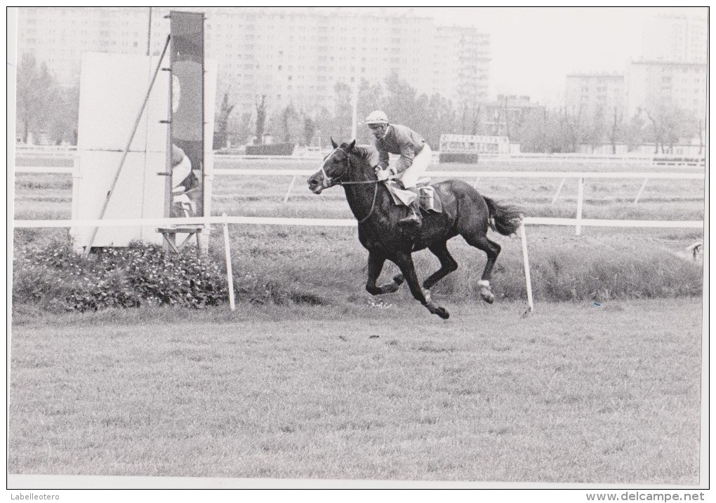 équitation TOULOUSE la Cépière gros lot de + de 160 photos / années 1979 à 1981