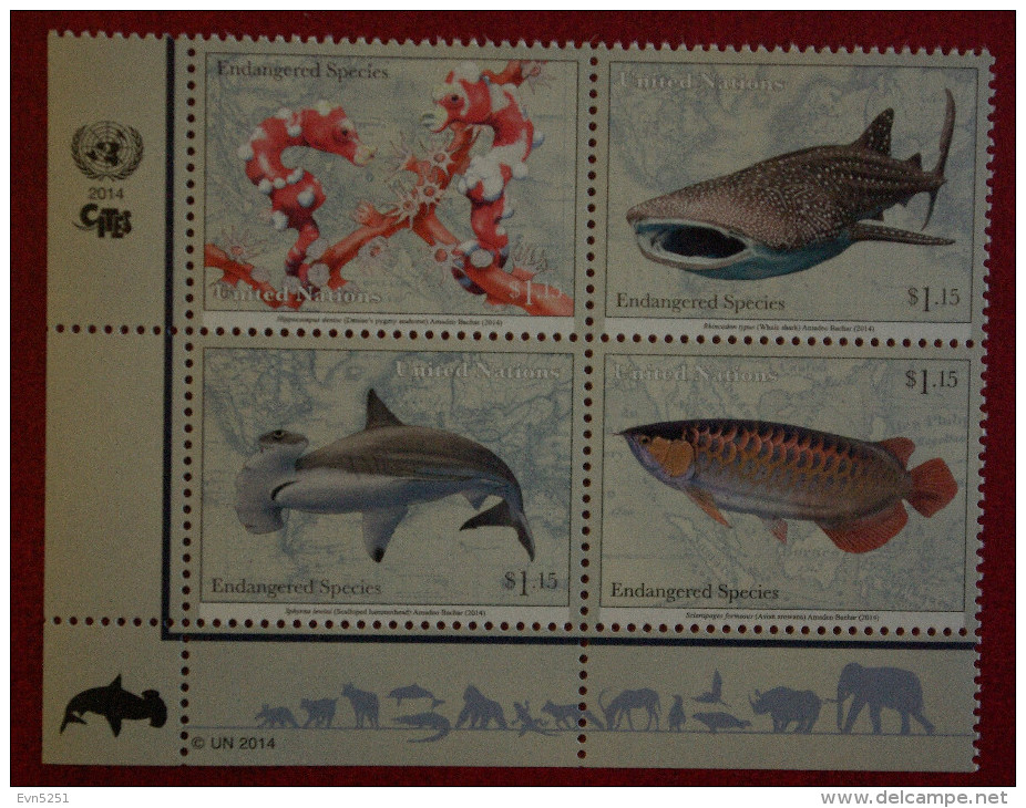 Y1 Nations Unies (New York)  : Protection De La Nature - Espèces Animales Menacées D'extinction - Unused Stamps