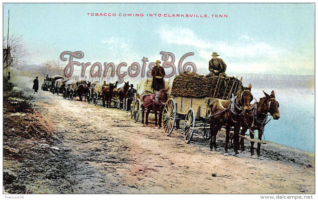 Tobacco Coming Into Clarksville - Tennessee - 2 Scans - Good Condition - Clarksville