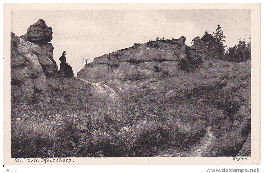 AK Auf Dem Pferdeberg - Sächsische Heimatschutz-Postkarte - 1919 (11745) - Duderstadt