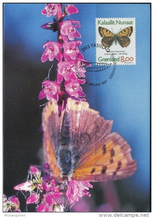 PA1168 Greenland 1997 Butterfly Maximum Card MNH - Storia Postale