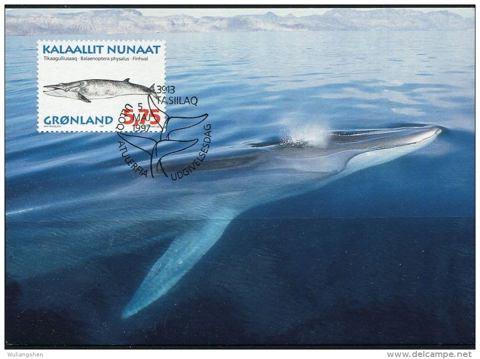 PA1170 Greenland 1997 Whale Maximum Card MNH - Cartas & Documentos