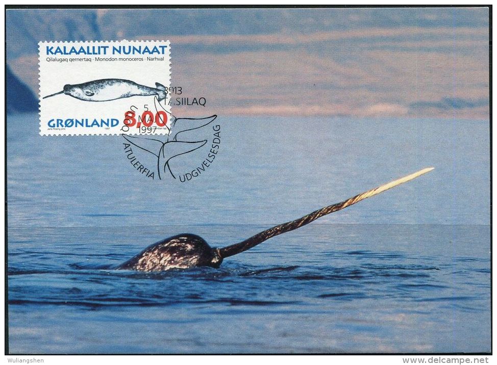 PA1171 Greenland 1997 Whale Maximum Card MNH - Cartas & Documentos