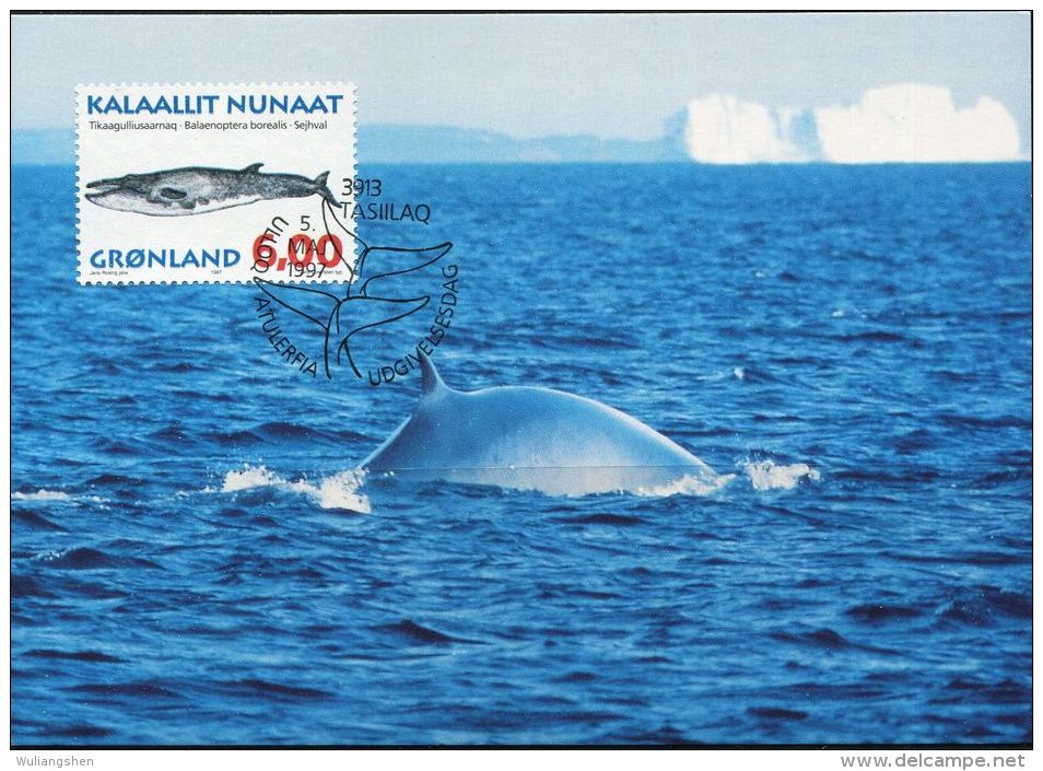 PA1172 Greenland 1997 Whale Maximum Card MNH - Lettres & Documents