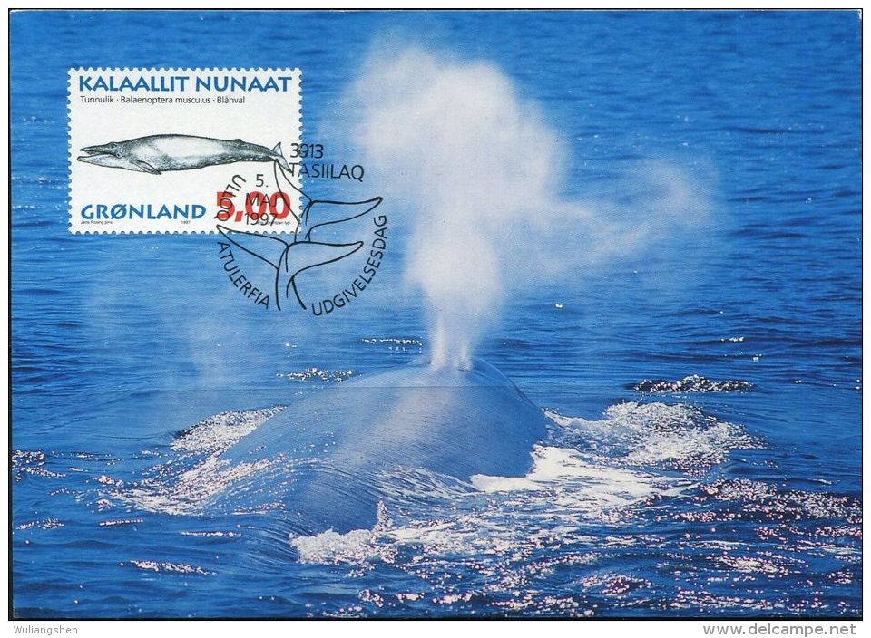 PA1173 Greenland 1997 Whale Maximum Card MNH - Lettres & Documents