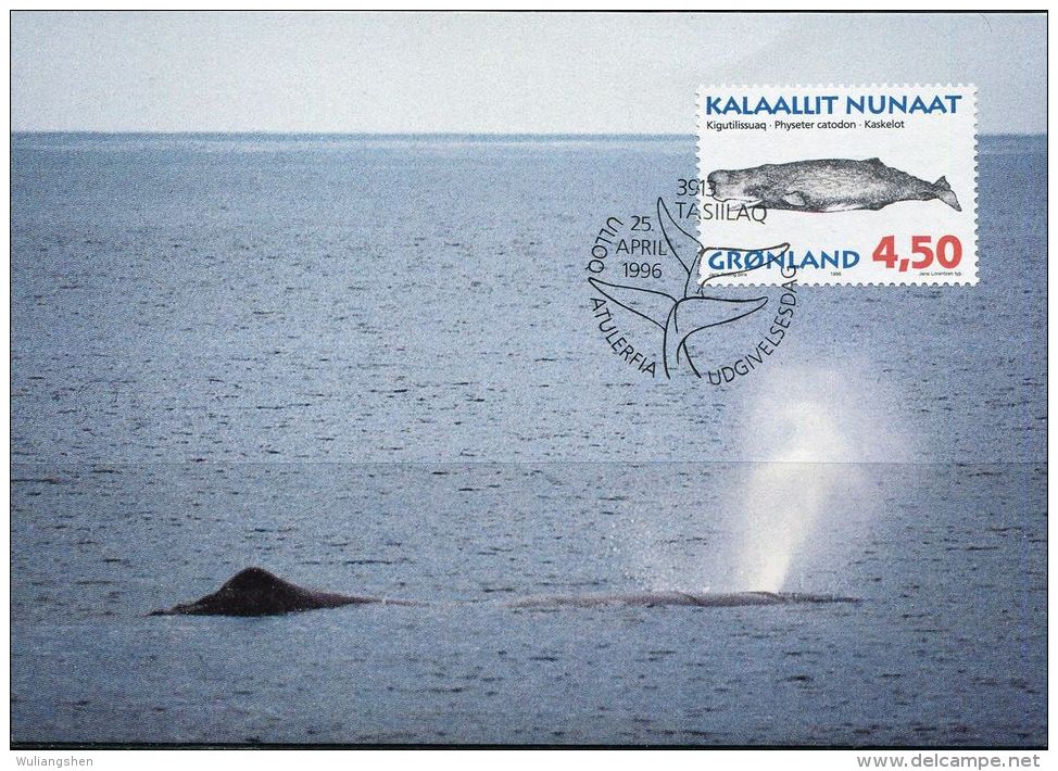 PA1174 Greenland 1996 Whale Maximum Card MNH - Brieven En Documenten